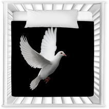 White Dove In Flight 1 Nursery Decor 1672292