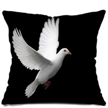 White Dove In Flight 1 Pillows 1672292