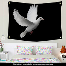 White Dove In Flight 1 Wall Art 1672292