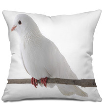 White Dove Pillows 61703672