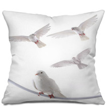 White Dove Pillows 63054449