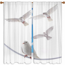 White Dove Window Curtains 63054449