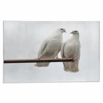 White Doves Rugs 66082728