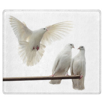 White Doves Rugs 67612909