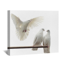 White Doves Wall Art 67612909