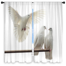 White Doves Window Curtains 67612909