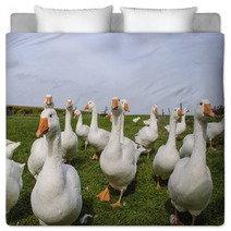White Ducks Bedding 74287394
