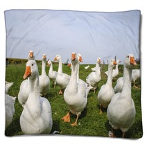 White Ducks Blankets 74287394