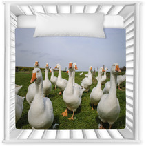White Ducks Nursery Decor 74287394
