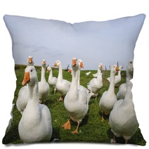White Ducks Pillows 74287394