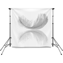 White Feather Reflection Backdrops 10048067