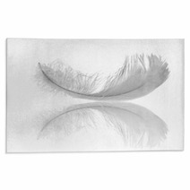 White Feather Reflection Rugs 10048067