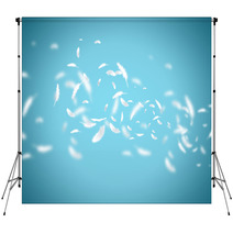 White Feathers Backdrops 65570899