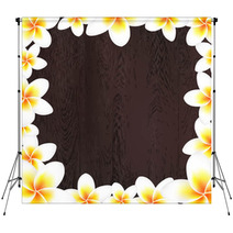White Frangipani Frame With Wood Background Backdrops 56560628