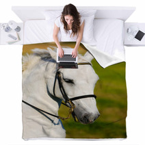 White Horse Blankets 65116334