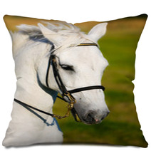 White Horse Pillows 65116334