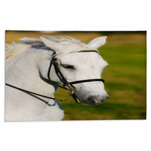 White Horse Rugs 65116334