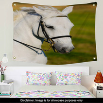 White Horse Wall Art 65116334