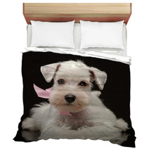 White Miniature Schnauzer Puppy Bedding 55149535