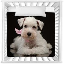 White Miniature Schnauzer Puppy Nursery Decor 55149535