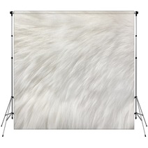 White Natural Fur Background Backdrops 209184525
