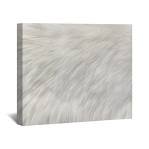 White Natural Fur Background Wall Art 209184525