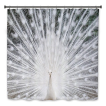 White Peacock With Feathers Out Bath Decor 49381962