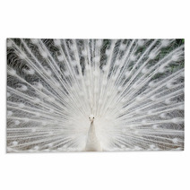 White Peacock With Feathers Out Rugs 49381962