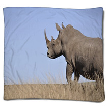 White Rhino Blankets 61829654