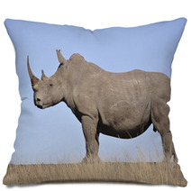 White Rhino Pillows 61829808