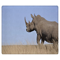 White Rhino Rugs 61829654