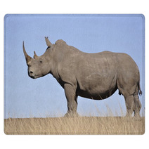 White Rhino Rugs 61829808
