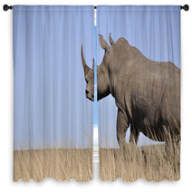 White Rhino Window Curtains 61829654