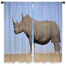 White Rhino Window Curtains 61829808
