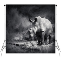 White Rhinoceros Backdrops 40411231