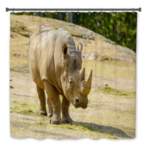 White Rhinoceros Bath Decor 67980912