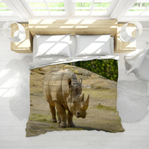 White Rhinoceros Bedding 67980912