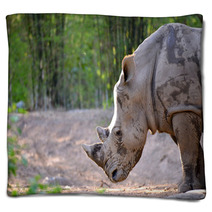 White Rhinoceros Blankets 65939176
