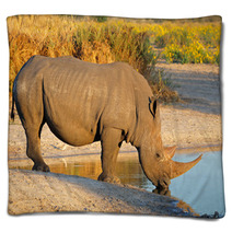 White Rhinoceros Drinking Water Blankets 65936916