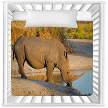 White Rhinoceros Drinking Water Nursery Decor 65936916