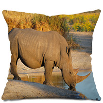 White Rhinoceros Drinking Water Pillows 65936916