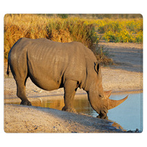 White Rhinoceros Drinking Water Rugs 65936916