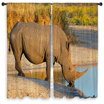 White Rhinoceros Drinking Water Window Curtains 65936916