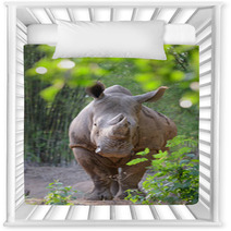 White Rhinoceros Nursery Decor 65939191