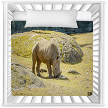 White Rhinoceros Nursery Decor 67980913