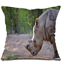 White Rhinoceros Pillows 65939176