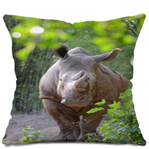 White Rhinoceros Pillows 65939191