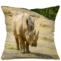 White Rhinoceros Pillows 67980912