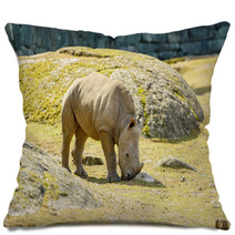 White Rhinoceros Pillows 67980913