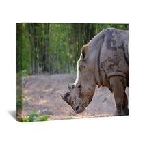 White Rhinoceros Wall Art 65939176